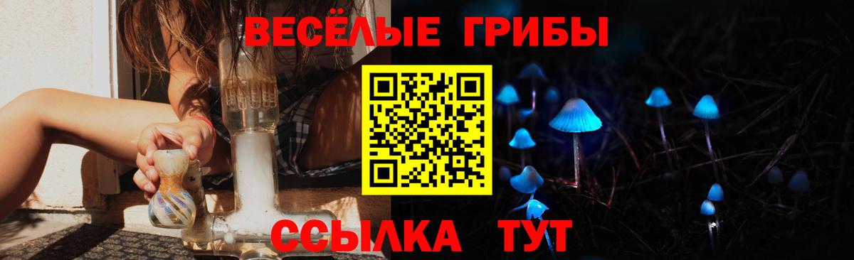 Псилоцибиновые грибы Psilocybe  Вход с VPN  Тамбов 